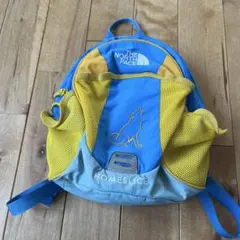 【さん（まとめ売り値引きします）専用】 THE NORTH FACE リュック