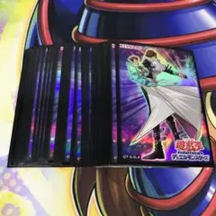 s14 遊戯王 スリーブ 48枚 海馬瀬人 デュエリストカードプロテクター