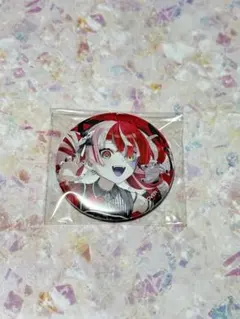 ホロライブ 6th fes. 缶バッジ 風真いろは 25点セット ホロライブ 6th fes. 缶バッジ 風真いろは 25点セット