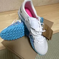 Item thumbnail for item f74a4e04-9c79-4b40-93cf-79b0f6a556d8