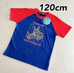 ポケモン Tシャツ ブラックレックウザ ネイビー レッド 120cm