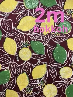 HOKKOH OSKikka レモン　ライム