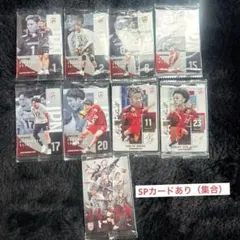 バレー　男子日本代表　ツインウエハース　2026 まとめ売り　9枚セット
