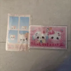 まじかるベリーベリー ノベルティ クリアカード 証明写真 3枚セット
