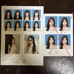 seju 証明写真