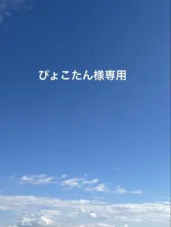 ぴょこたん様確認用