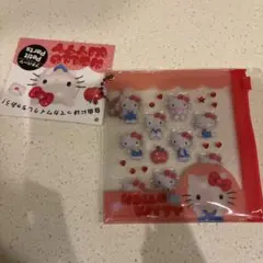 ぷっくりシール　ぷくぷくシール　サンリオ　キティ　ケース付き　★新品★