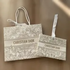 CHRISTIAN DIOR クリスチャンディオール ショップ袋 紙袋