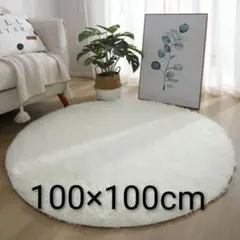 100×100 러그 매트 카펫 라운드 화이트 플러피 데코