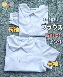 seagull ブラウス 幼稚園 120 半袖 長袖 角襟 袖ボタン 2セット