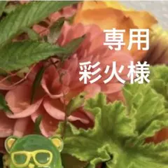 朔茉✪プロフ必読 専用ページ 朔茉✪プロフ必読様7/1 - メルカリ