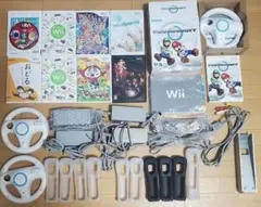 Wii 零 〜眞紅の蝶〜 (ゼロ しんくのちょう) 任天堂 説明書付