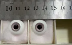 Item thumbnail for item 66c90b0e-1e37-41d0-a9f8-a300b09fbdf1