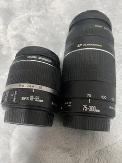 ☆超望遠600mmレンズ CANON EF 90-300 ＋ 2倍レンズ - メルカリ