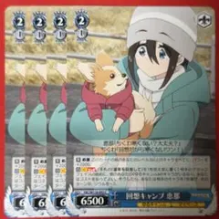 SR キャンプ場でおさんぽ 恵那＆はんぺん＆ちくわ 1枚 - メルカリ