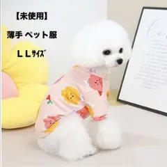 Item thumbnail for item e315f1bc-1350-4ad0-8da1-46bad748738e