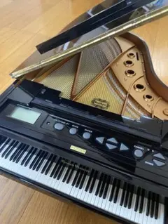 廃版☆希少【美品】セガトイズ　グランドピアニスト　＊2025/8 グランドピアニスト セガトイズ 廃版☆希少【美品】セガトイズ