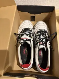Mizuno Morelia Neo IV Japan 25.5cm