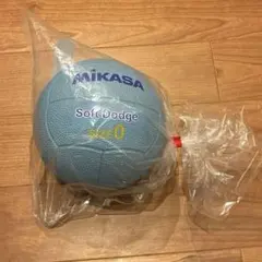 Item thumbnail for item 34022590-e742-444c-a04d-c84afbf342b5