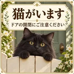 耐水ステッカー　猫がいます　黒猫　猫　かわいい