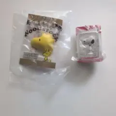 PEANUTSパッケージミニチュアコレクション