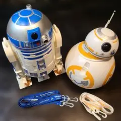 ディズニーランド　ポップコーンバケット【R2-D2 & BB-8】終売品！