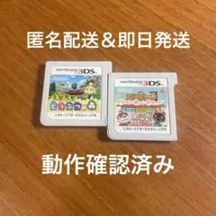 3DS とびだせどうぶつの森 ハッピーホームデザイナー 2点セット