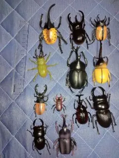 カブトムシ、クワガタ　フィギュア12個まとめ売り