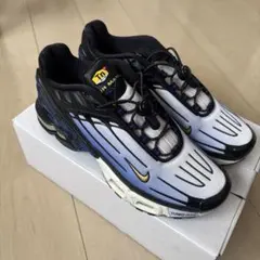 Nike Air Max Plus TN ホワイト/ブラック/ブルー