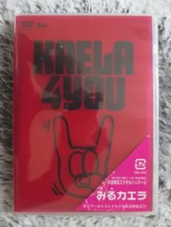 木村カエラ/KAELA WEB TOUR 2012@武道館〈完全生産限定盤〉 - メルカリ