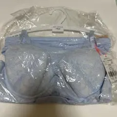 アモスタイル　トリンプ　水色