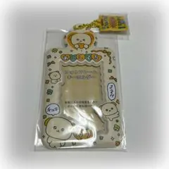 チェゴシム　チャーム付きフォトキーホルダー　イエロー　匿名発送　トレカケース