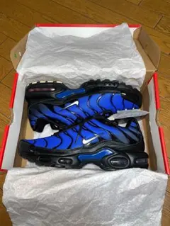 Nike Air Max Plus 青/黒