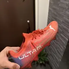 Item thumbnail for item 23cab305-90fc-4352-b0ba-c50576b7518f