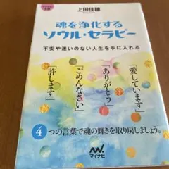 魂を浄化するソウル・セラピー : 不安や迷いのない人生を手に入れる