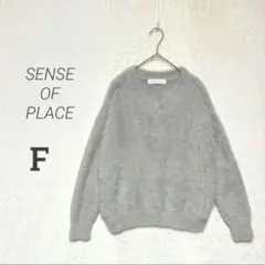 SENSE OF PLACE　美品　Ｖネック フェザーヤーン シャギーニット　F
