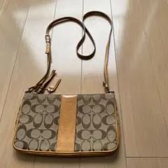 ベージュ ショルダーバッグ