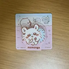 アクリルシーンクリップビスケット モモンガ