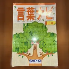 中学受験SAPIX新版言葉ナビ 教材セット　2026年入試 分野 国語力 白地図 2026年最新】言葉ナビ sapixの人気アイテム - メルカリ