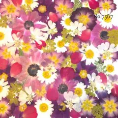♡new♡ ♡訳ありの押し花！大容量セット♡