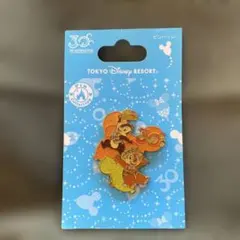 レア】ディズニーストア ドナルドダック 71周年 ピンバッジ - メルカリ