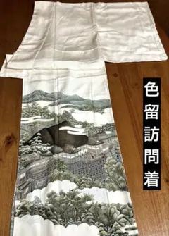 D539 訪問着 染め大島紬 雪輪 正絹 着物 袷 しつけ糸付き未使用極美品