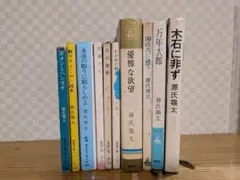 源氏鶴太 文学作品 10冊セット