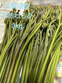 令和8年 わらび塩漬け【太め、極太】2kg 青森県産 - メルカリ
