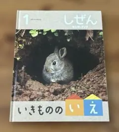 かがくのとも キンダーブックしぜん キンダーおはなしえほん 水族館 海