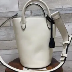 ZARA 白いバッグ　2way