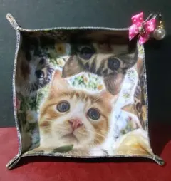 Item thumbnail for item a9c18217-2f96-4464-adb1-806d19d6f438