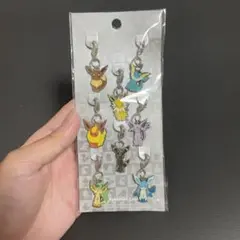 2025年最新】メタルチャーム イーブイの人気アイテム - メルカリ