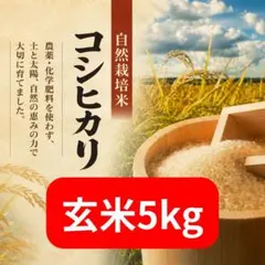 農薬完全不使用/植物発酵肥料コシヒカリ 玄米5kg（令和8年産） - メルカリ