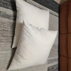 IKEA イケア　ヌードクッション　65cm×65cmのサムネイル